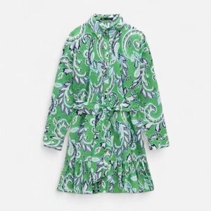 Green Paisley Long Sleeve Mini Dress